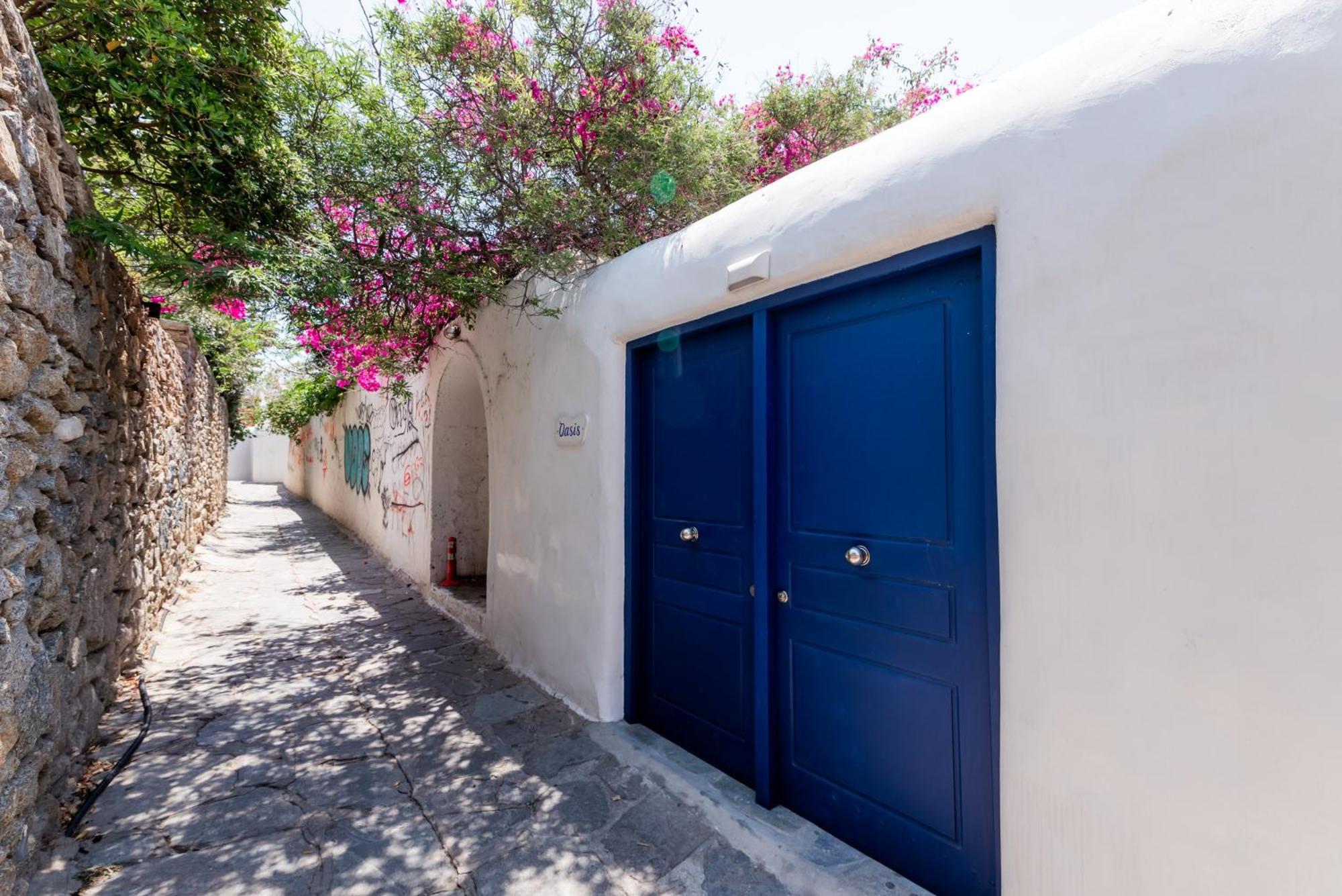 Olive Tree & Capari Mykonos Town Homes & Apartments With Pool! Bagian luar foto